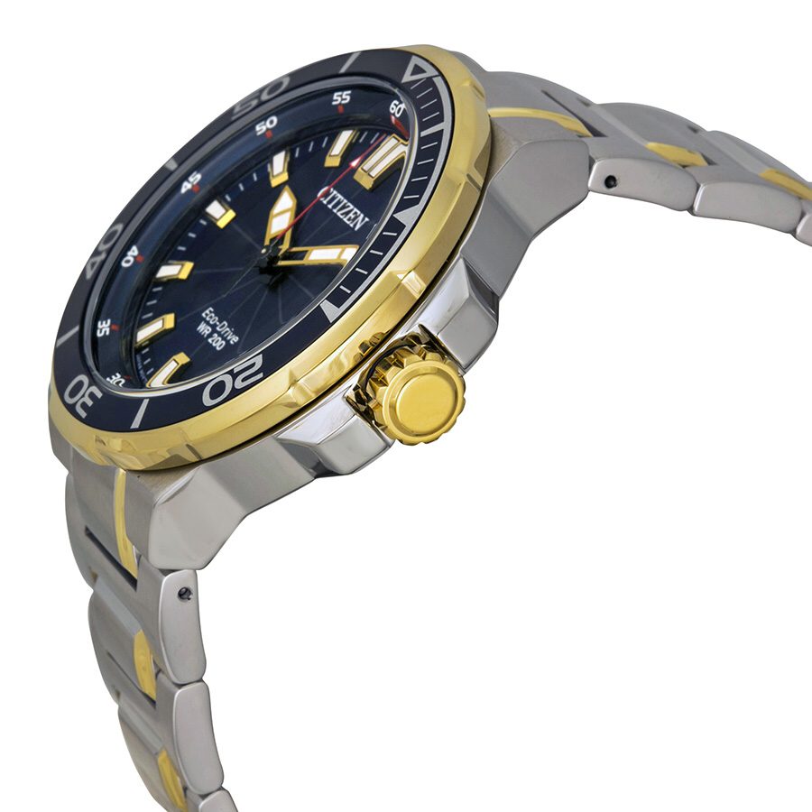 citizen endeavor watch